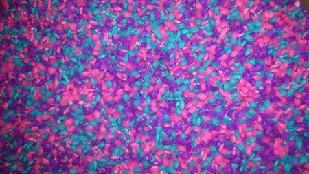 mi arroz