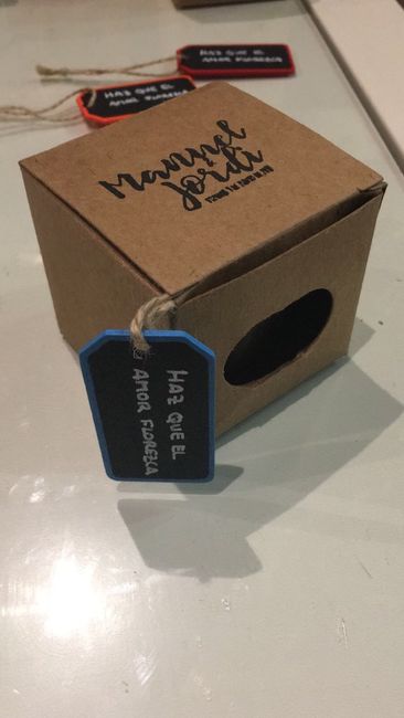 Cajita con Sello (Maceta Regalo)