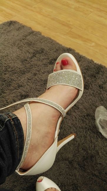 Mis zapatos lodi - 2