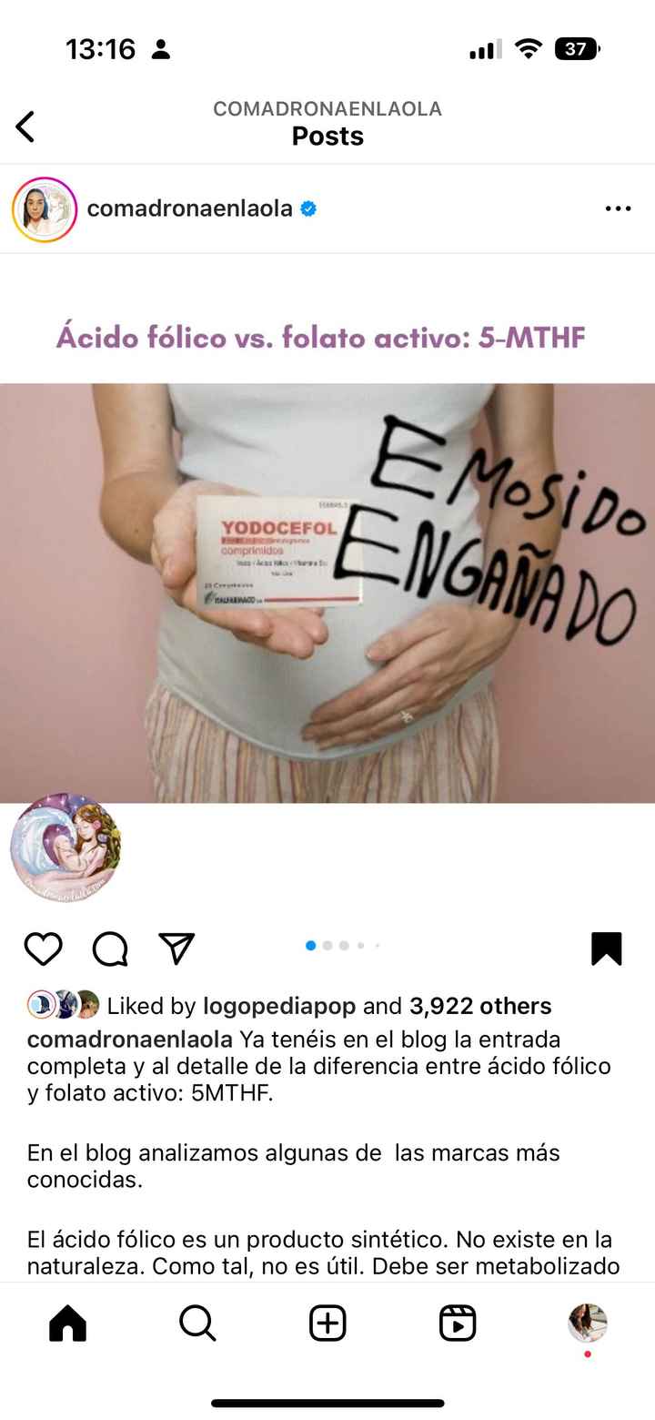 Buscadoras febrero 2024 - 1