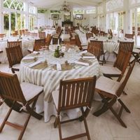 salón decorado con suculentas
