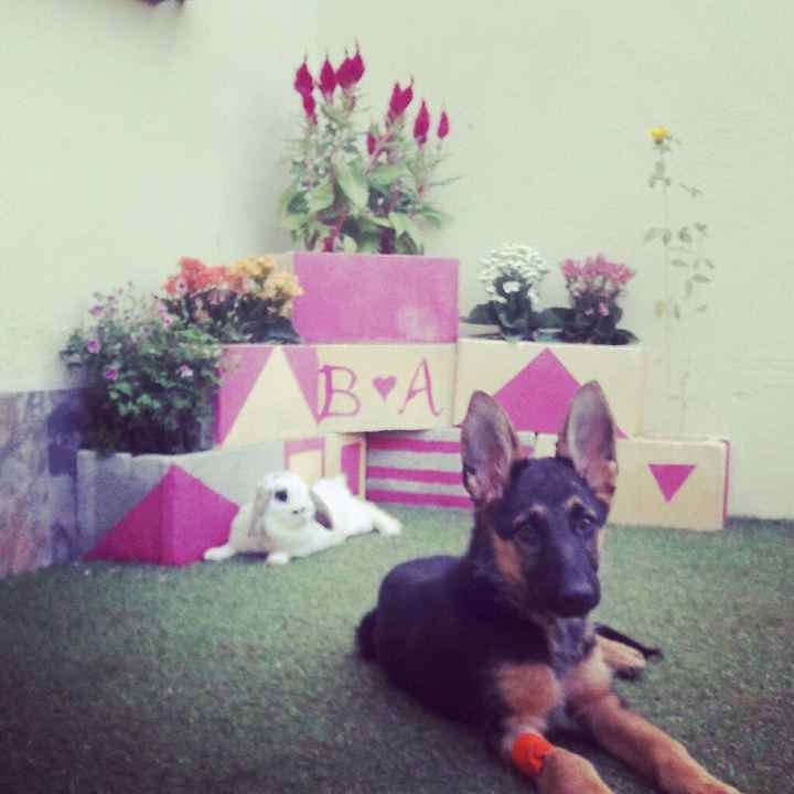 ¿Cómo se llama vuestra mascota? - 1