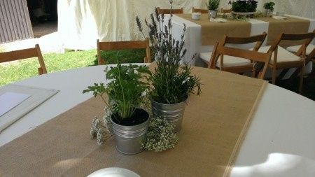 Aromaticas
