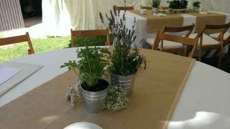 Aromaticas