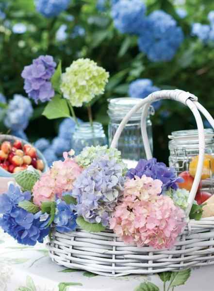 Decora tu boda con Hortensias