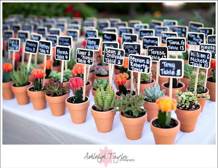 Cactus para regalo invitados