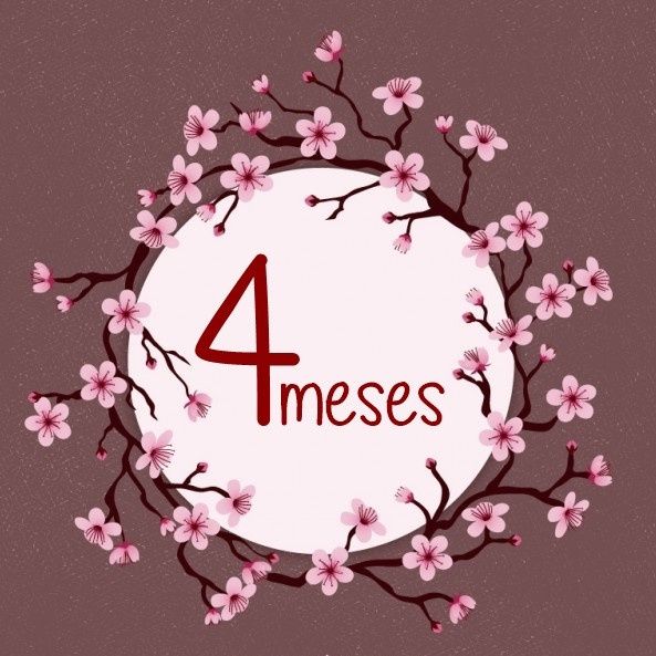 4 Meses
