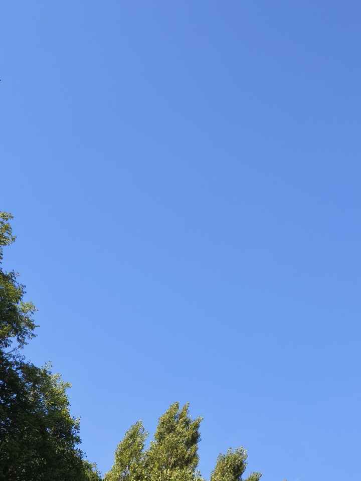 Llegó el día 💞 - 1