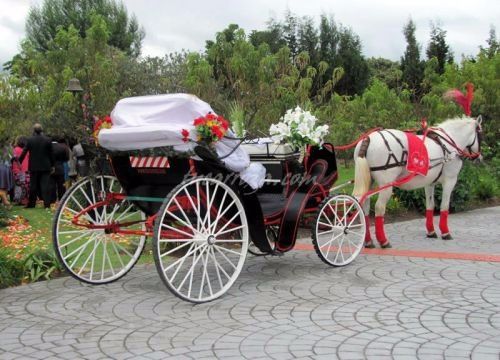 transporte coche caballos