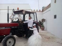 transporte 