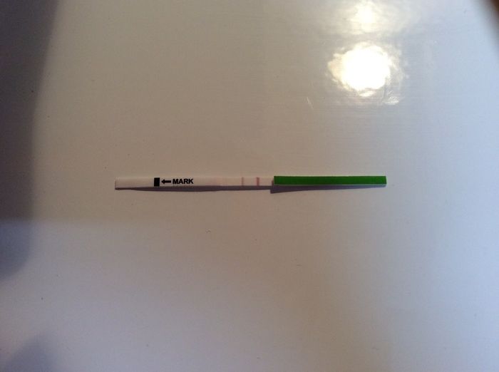 Día 10 DPO