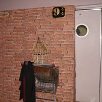 Fotocoll sí o no - 1