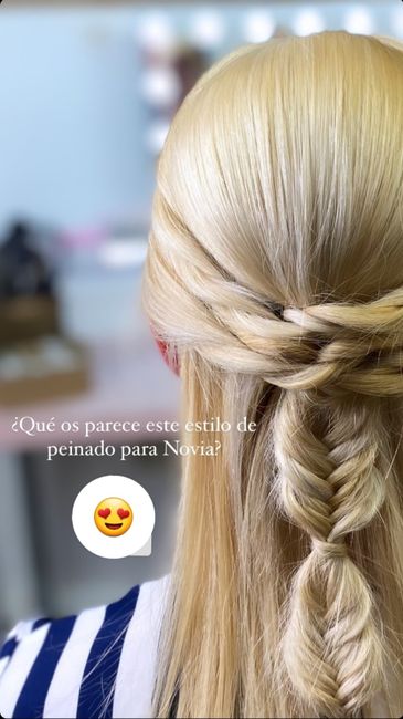 Inspiración trenzas. 3