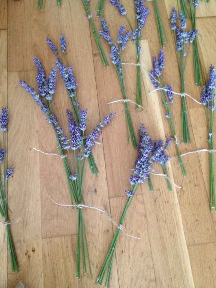 Secando lavanda