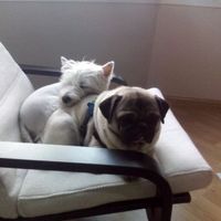epi y sweety