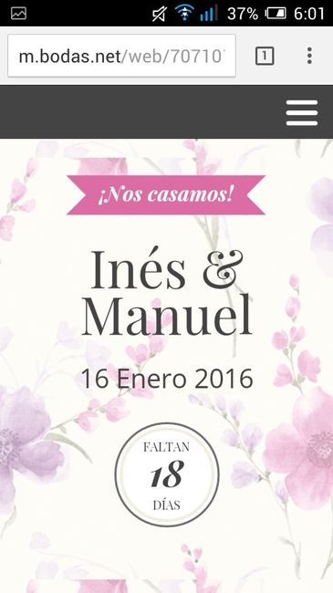 Pagina web bodas.net - 2