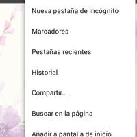 Pagina web bodas.net - 3