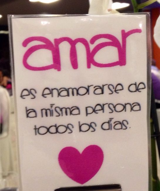 meseros mr.wonderful