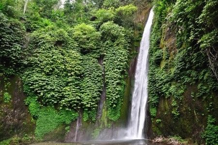 Cascadas en Bali