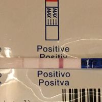 Duda test de embarazo!! - 1
