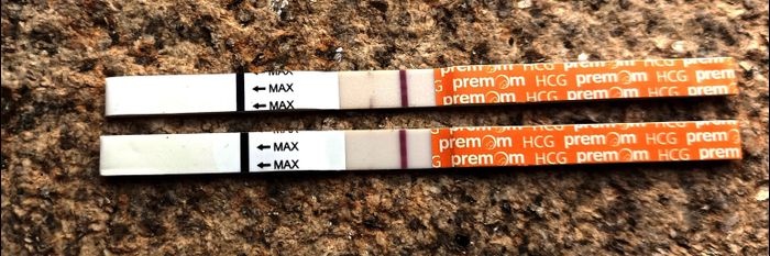 buscadoras abril 2023 1