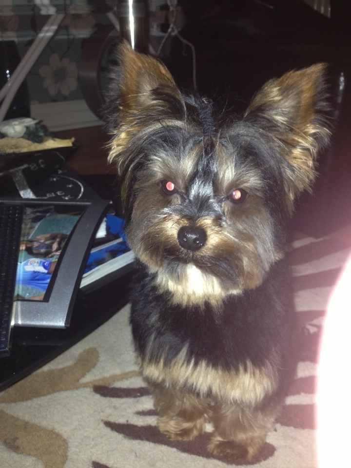 MI WILFREDO :)