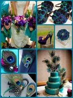 COLOR PAVO REAL 3