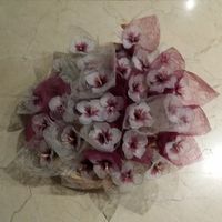  Orquídeas terminadas !!