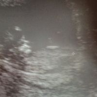 Mamis enero 2016 - 1