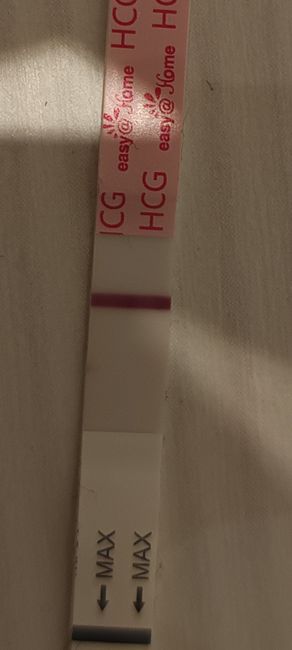 Buscadoras marzo 🌷🌼🌹🌸🌺 - 1