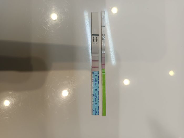 Buscadoras abril 🌞🪻🪻🌹🌹🌞 - 1