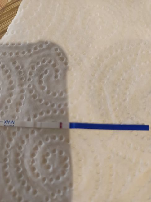 🌹 Buscadoras Mayo 2025 🌹 - 2