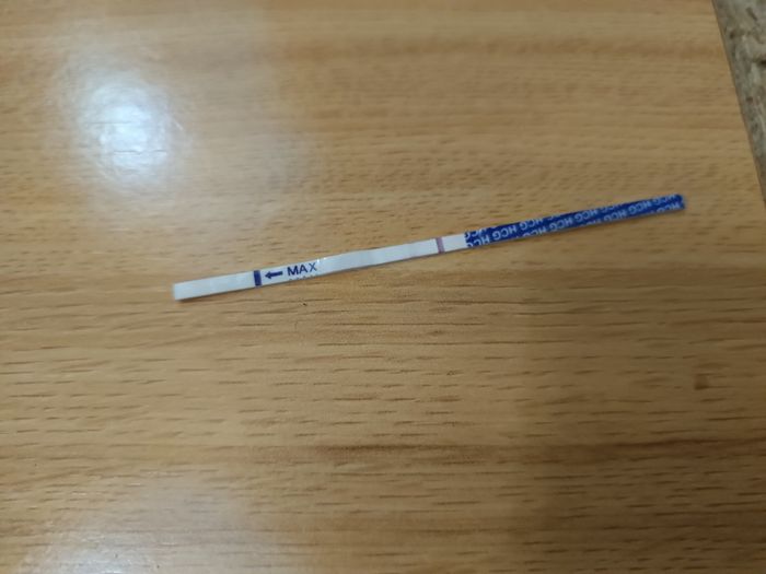 ✨️🤍 Buscadoras Octubre 🤍✨️ - 1