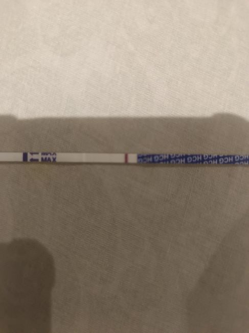 ✨️🤍 Buscadoras Octubre 🤍✨️ - 1