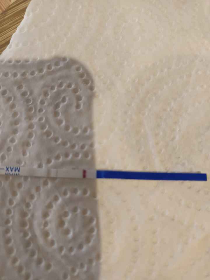 🌹 Buscadoras Mayo 2025 🌹 - 2