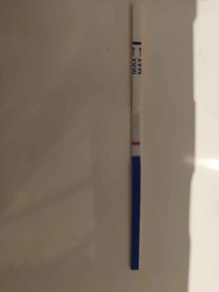 🌹 Buscadoras Mayo 2025 🌹 - 1