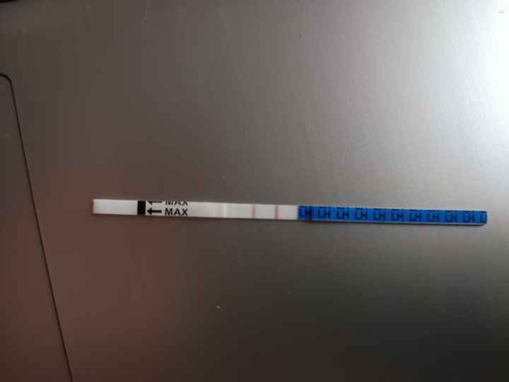 ☀️ Buscadoras agosto 2025 ☀️ - 1