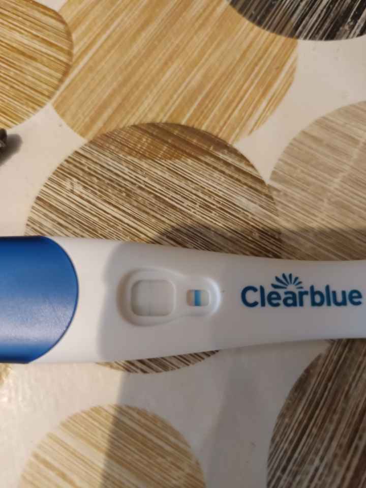 Buscadoras Septiembre 2025🌹💐 - 1