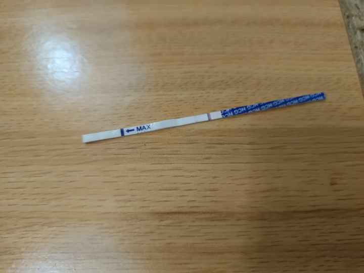 ✨️🤍 Buscadoras Octubre 🤍✨️ - 1