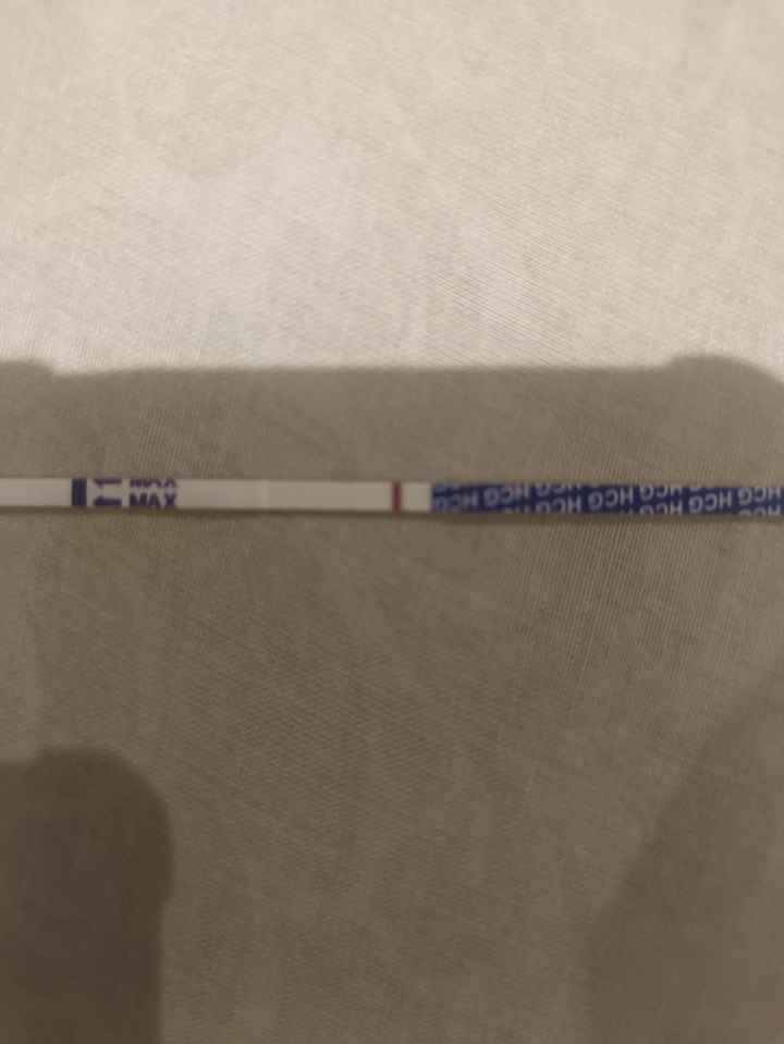 ✨️🤍 Buscadoras Octubre 🤍✨️ - 1