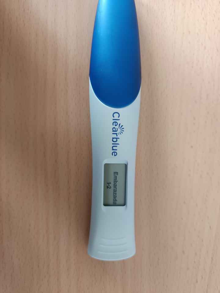 ✨️🤍 Buscadoras Octubre 🤍✨️ - 1