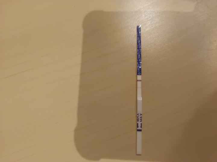 ✨️🤍 Buscadoras Octubre 🤍✨️ - 1