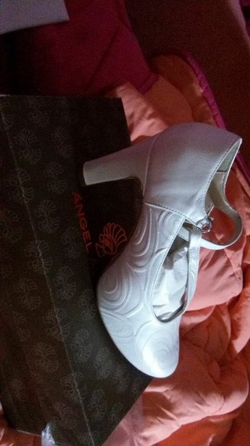 mis zapatos