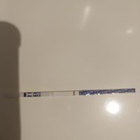 ✨️🤍 Buscadoras Octubre 🤍✨️ - 1