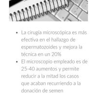 Buscadoras de un primer embarazo y tras muchos intentos no llega - 1