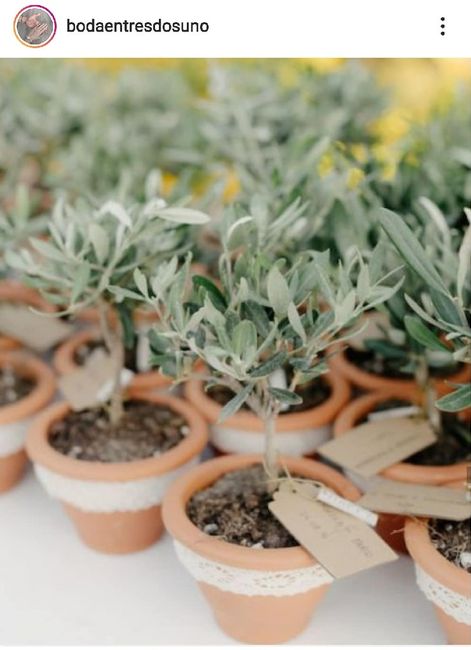 Detalles de boda 4