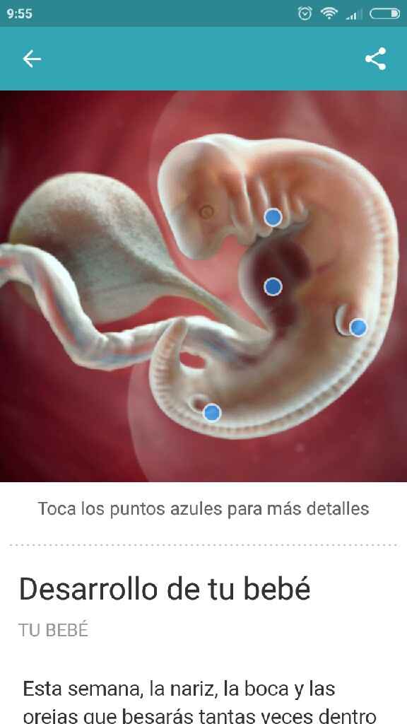 Futuras mamis diciembre 2017 - 1