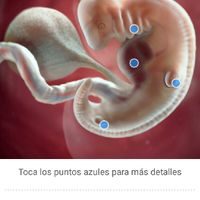 Futuras mamis diciembre 2017 - 1