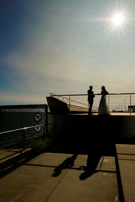 Mi Coviboda 5