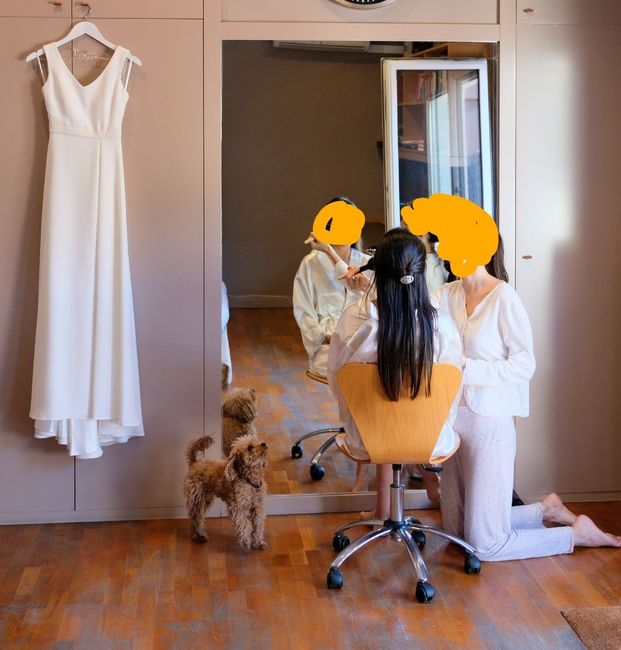 ¿Tenéis mascotas?🐈 🐩¿Os van a acompañar el día B? 15